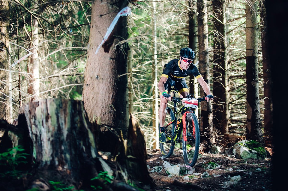 Forest Bike Trials 2019 em Jogos na Internet